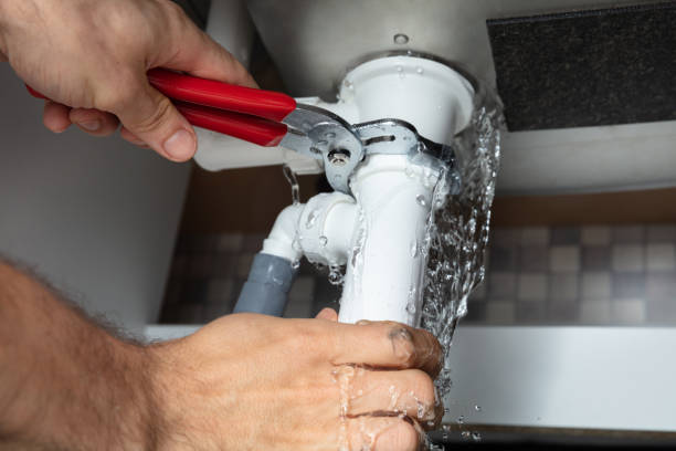 Best Water damage cleanup near me  in Swartz Creek, MI