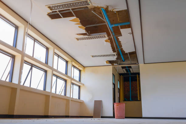  Swartz Creek, MI Water damage restoration Pros