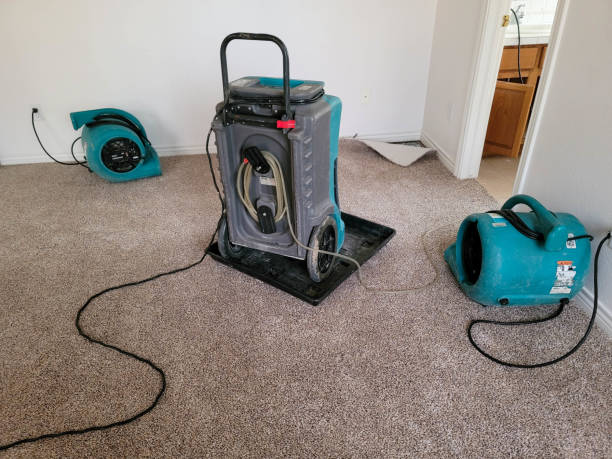 Best Water damage restoration insurance claims  in Swartz Creek, MI