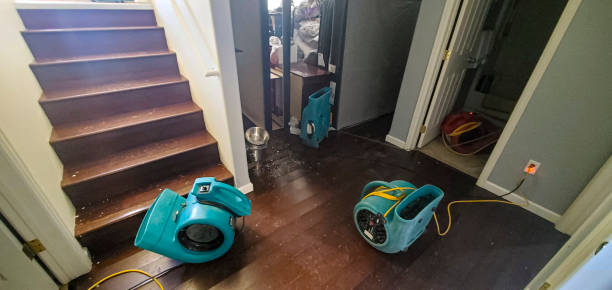 Local water damage restoration in Swartz Creek, MI