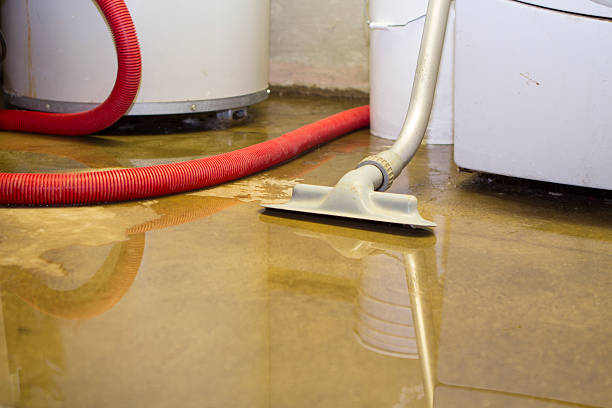 Best Water damage contractors near me  in Swartz Creek, MI
