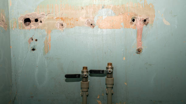 Best Commercial water damage restoration  in Swartz Creek, MI