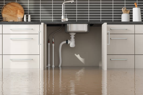 Best Local water damage restoration  in Swartz Creek, MI